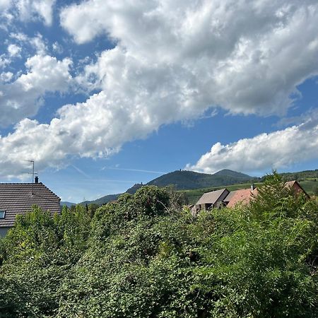 Gite Neuf En Duplex Tout Confort Ribeauvillé Eksteriør bilde